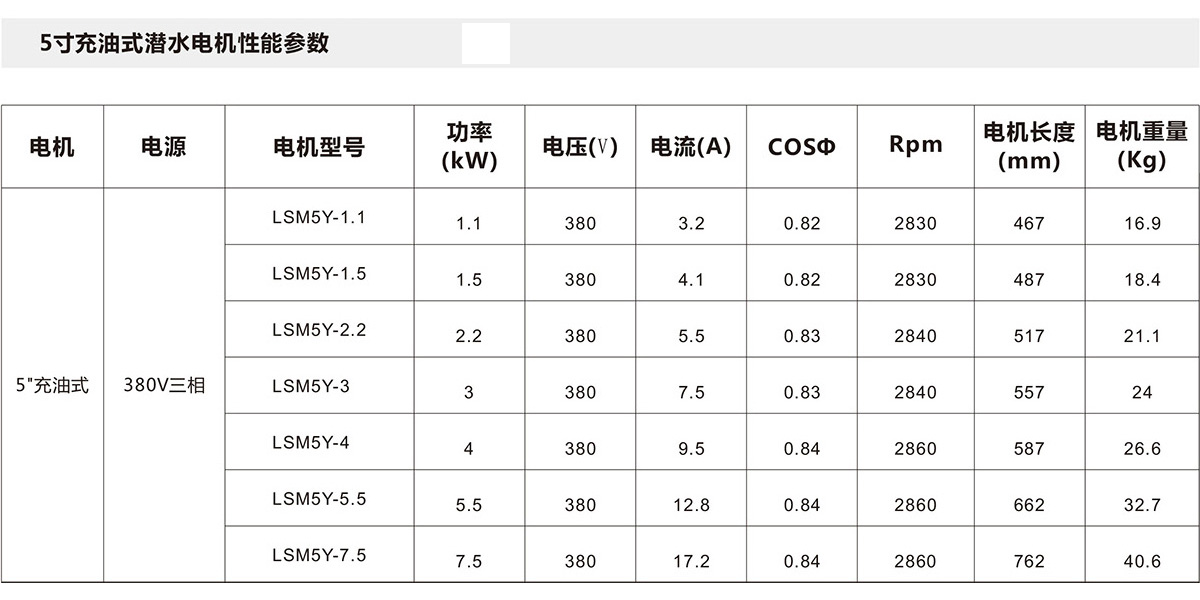 5寸充油式潛水電機(jī)(圖2)